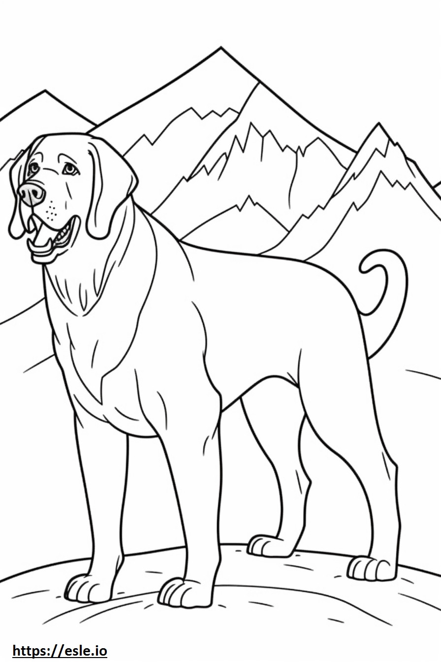 Perro de montaña bávaro feliz para colorear e imprimir