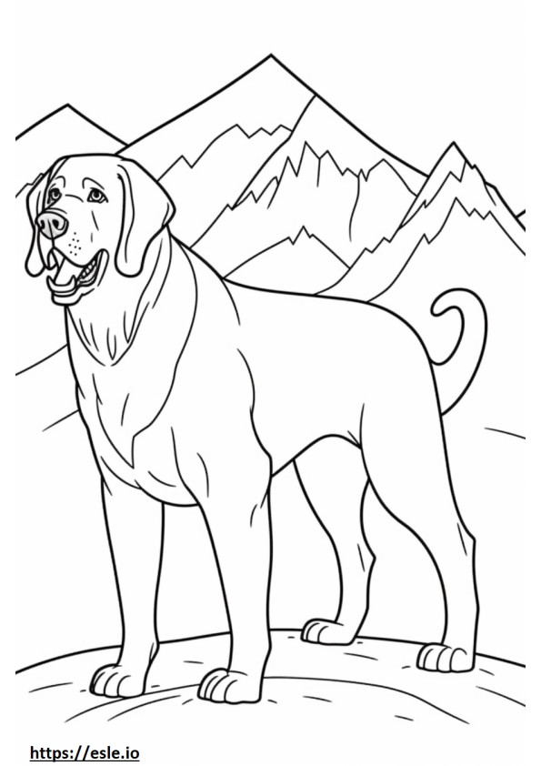 Perro de montaña bávaro feliz para colorear e imprimir