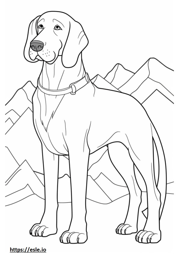 Anjing Gunung Bavaria lucu gambar mewarnai