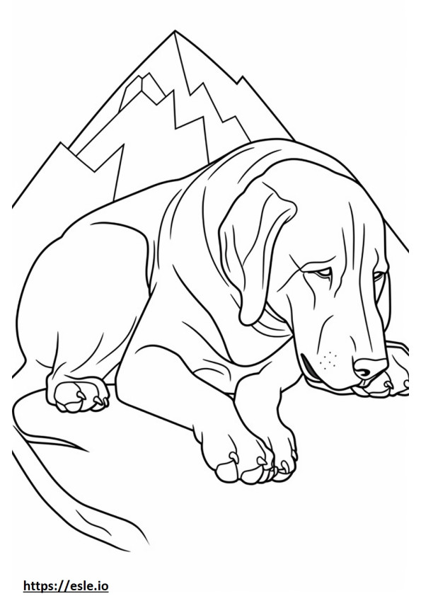 Bavarian Mountain Hound Sleeping coloring page