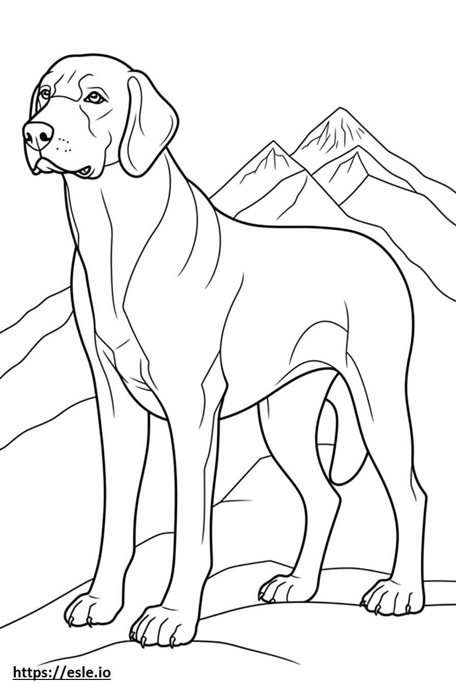 Ramah Anjing Gunung Bavaria gambar mewarnai