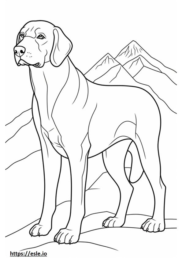 Amigável ao cão de montanha da Baviera para colorir