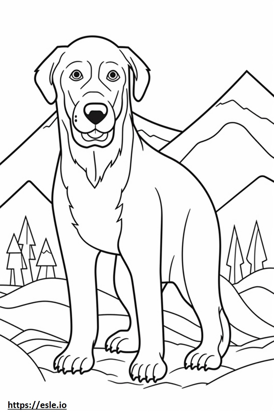 Kawaii Anjing Gunung Bavaria gambar mewarnai