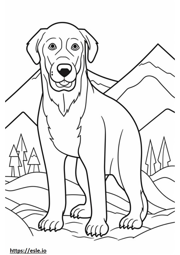 Bavarian Mountain Hound Kawaii coloring page