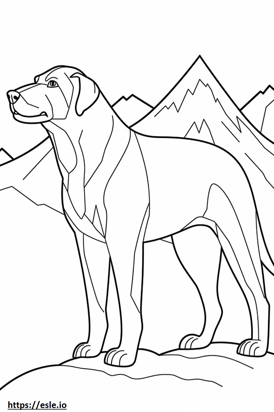 Bavarian Mountain Hound Friendly coloring page