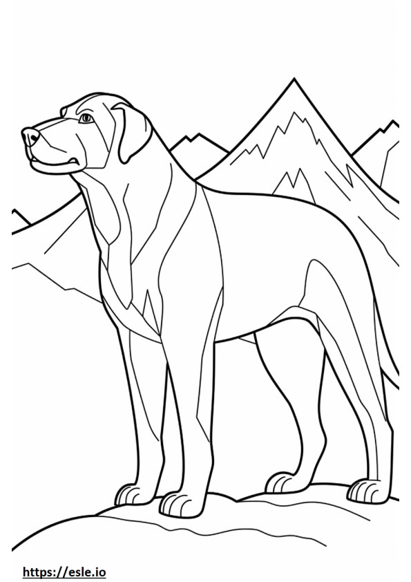 Ramah Anjing Gunung Bavaria gambar mewarnai