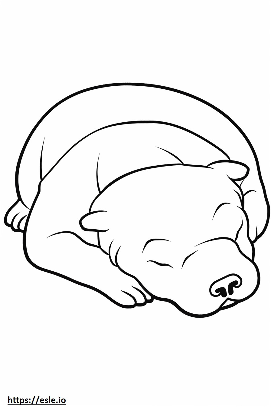 Beabull Sleeping coloring page
