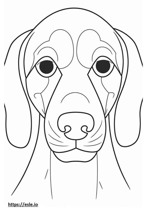 Beagle-gezicht kleurplaat