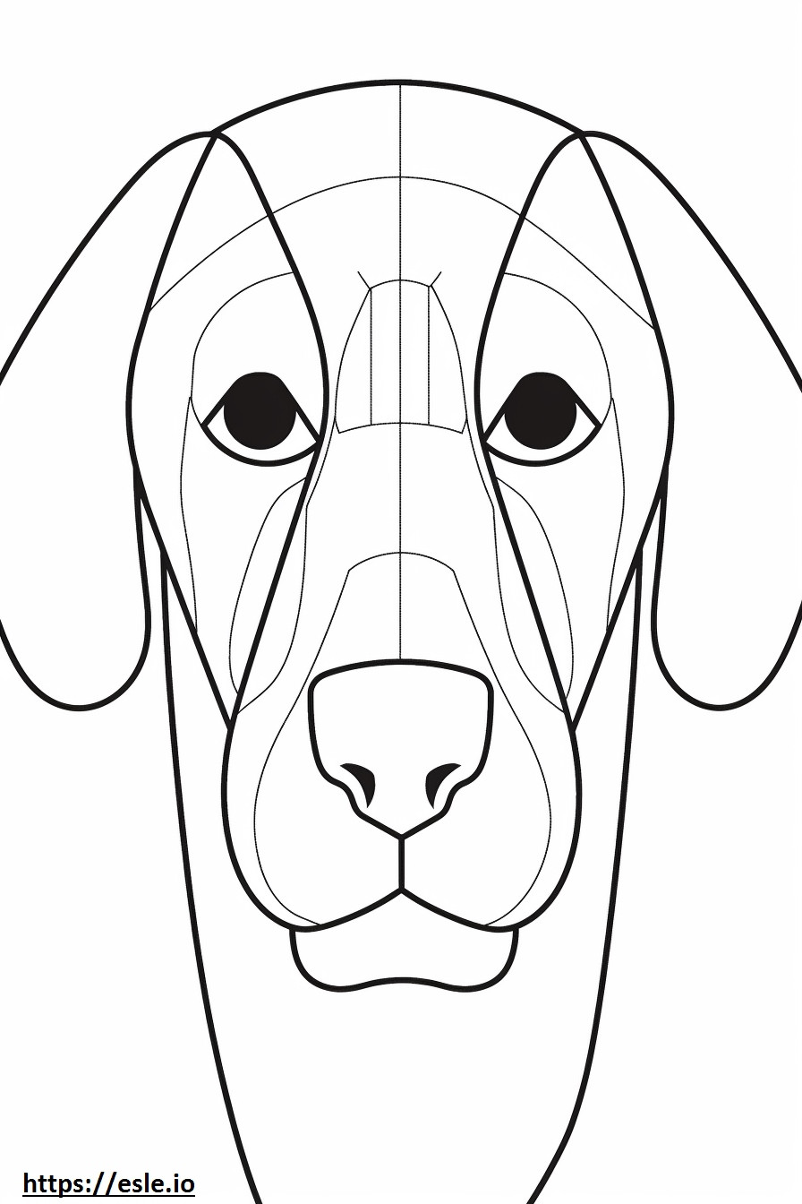 Beagle-Gesicht ausmalbild