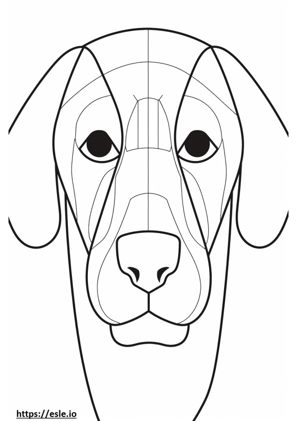 Beagle face coloring page