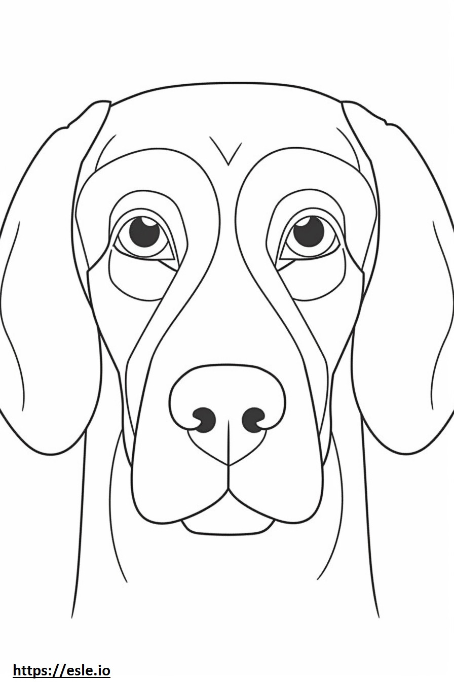 Beaglen kasvot värityskuva