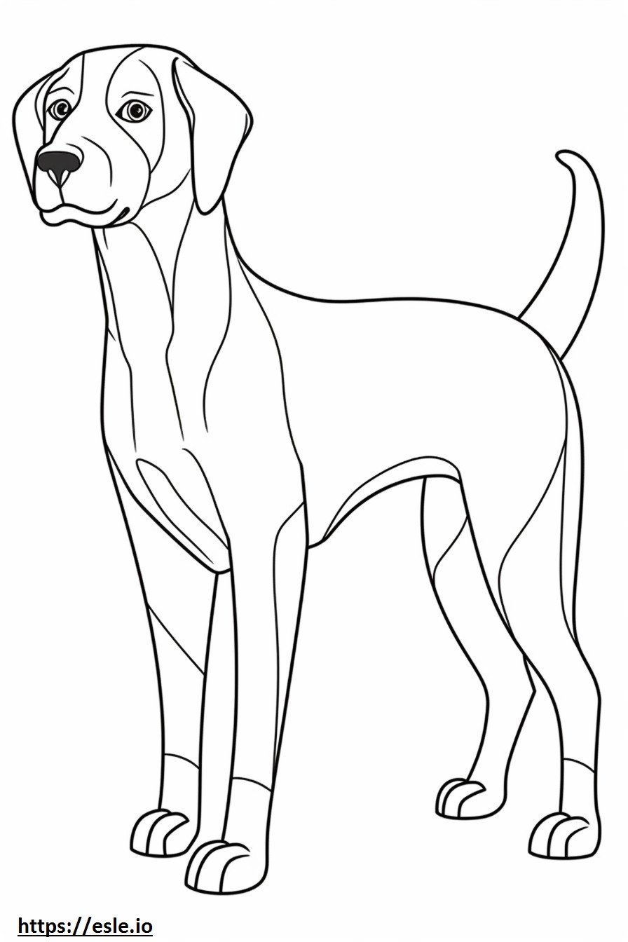 Beagle kokovartalo värityskuva