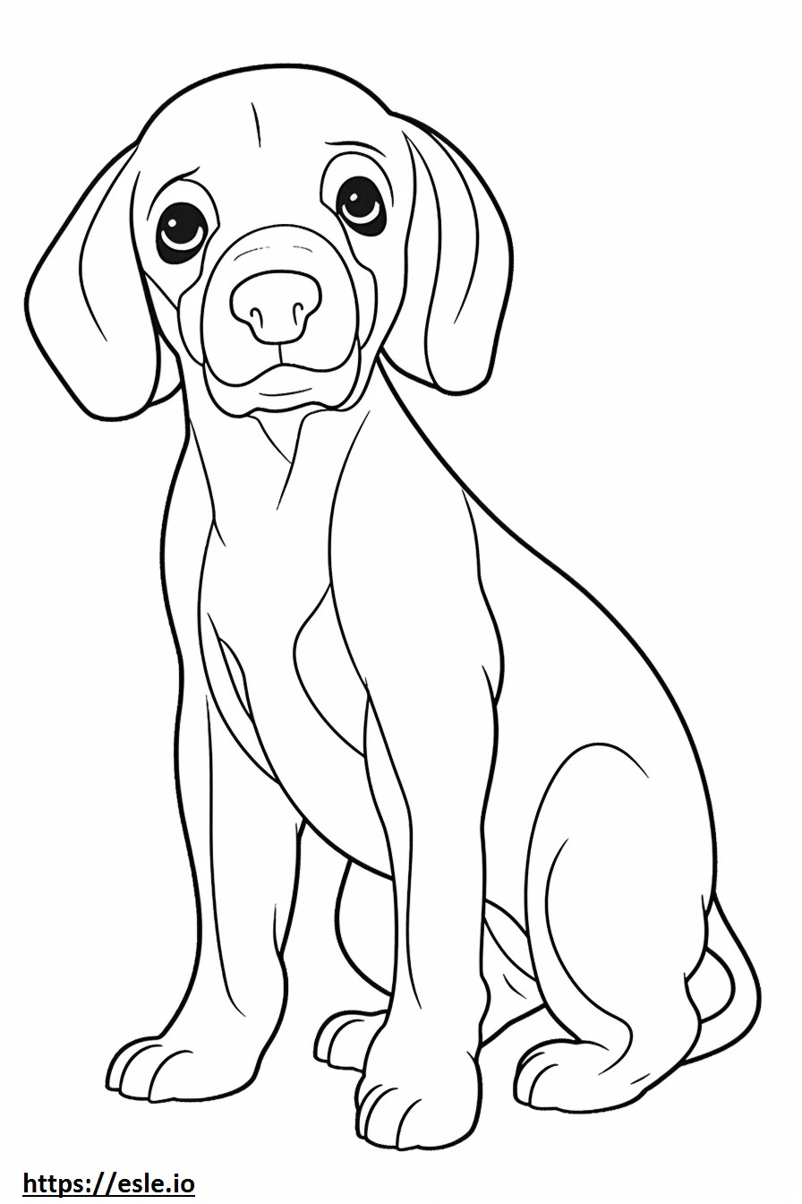 Cucciolo di Beagle da colorare