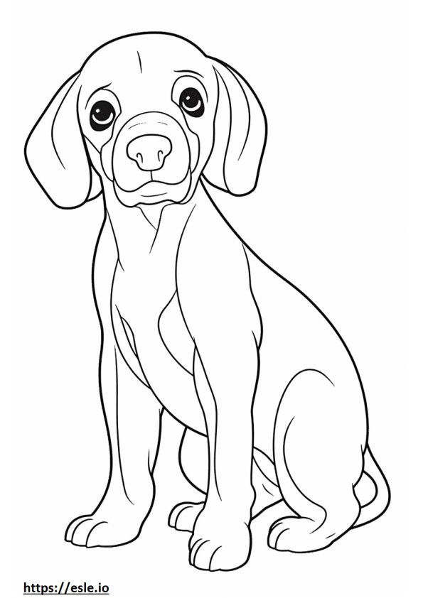 Coloriage Bébé Beagle à imprimer
