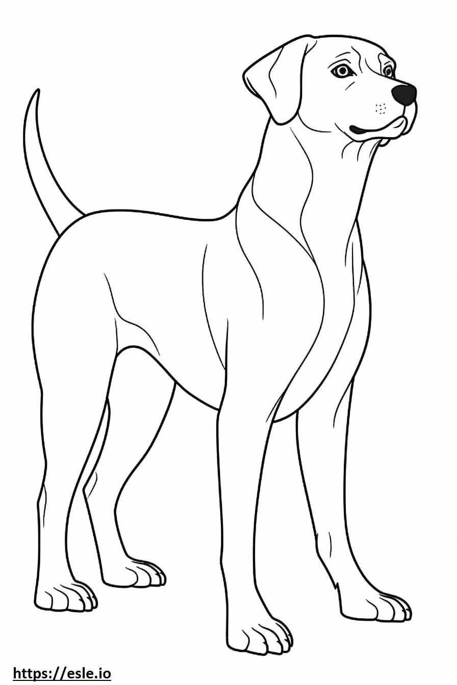 Beagle cartoon coloring page