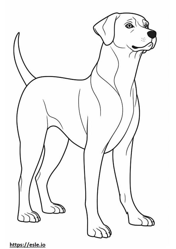Coloriage Caricature de beagle à imprimer