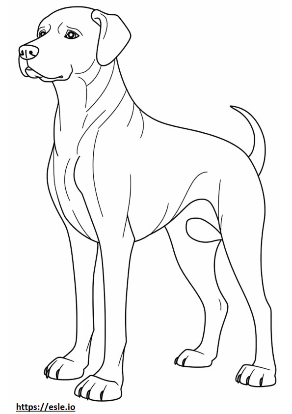 Desenho animado do Beagle para colorir