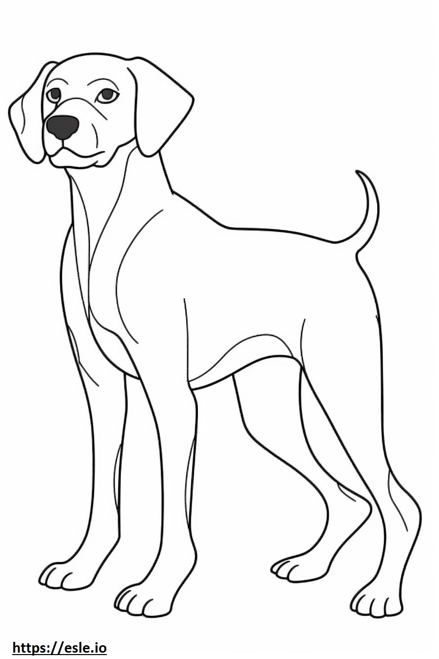 Beagle happy coloring page