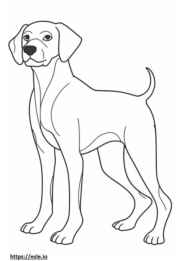 Beagle happy coloring page