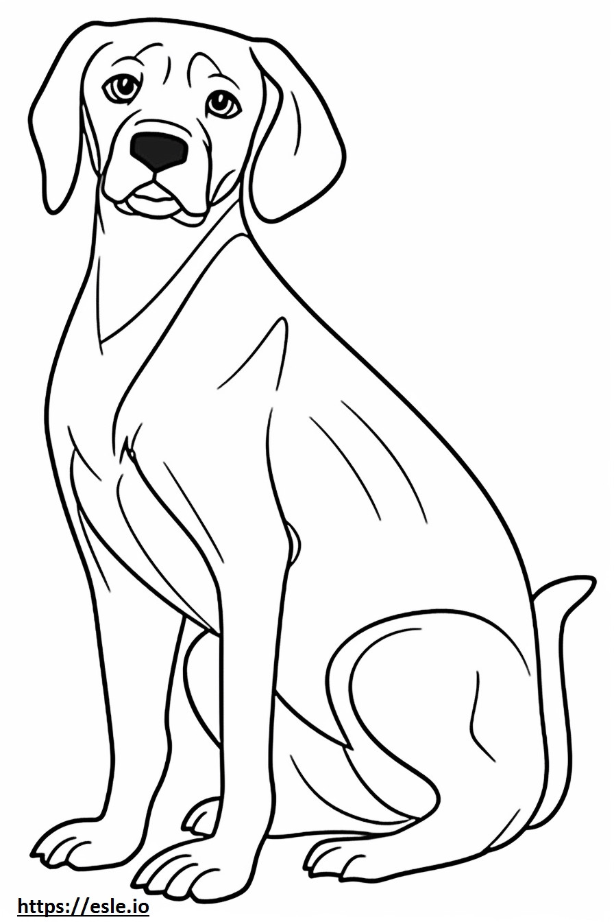 Beagle cute coloring page