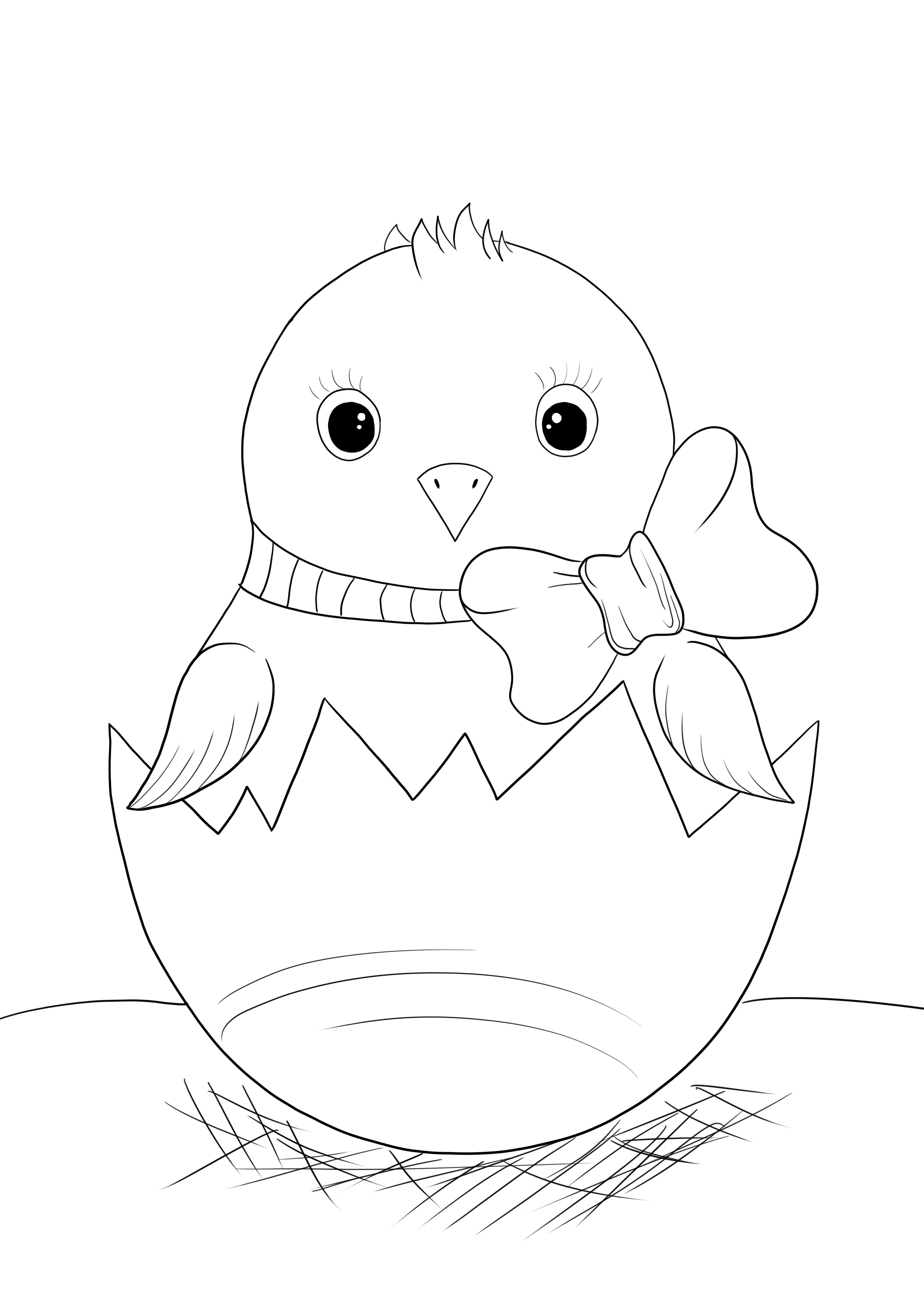 Easter chick for Easter present simple coloring and print-free