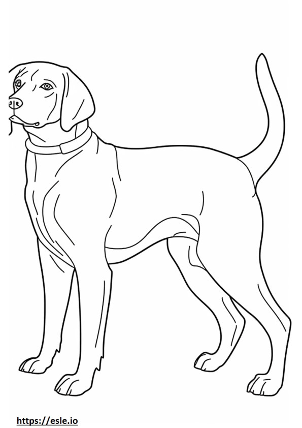beagle jugando para colorear e imprimir