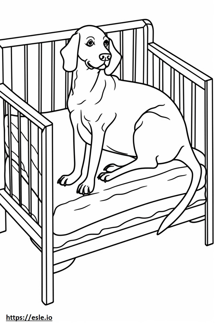 Beagle Playing coloring page