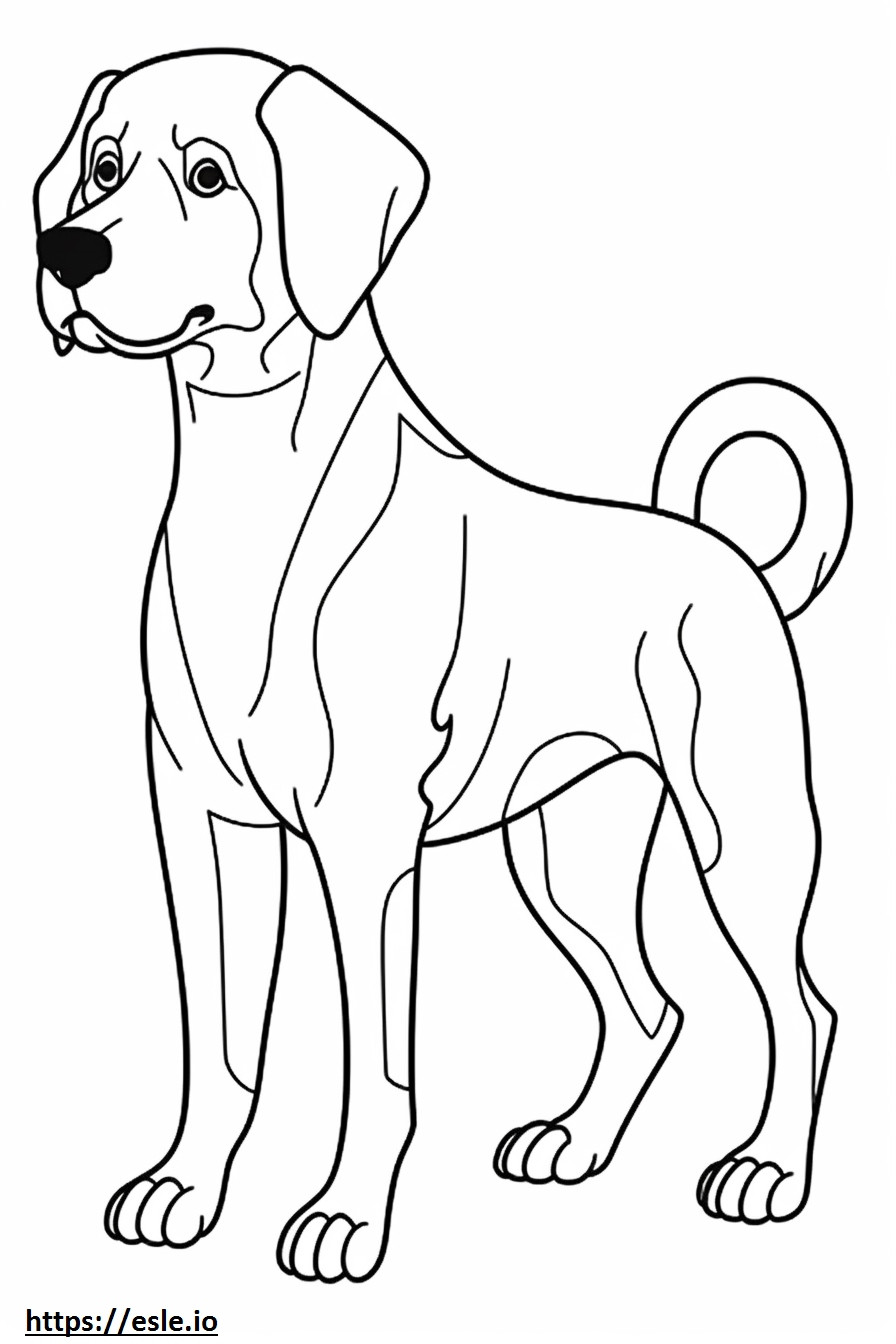 Beagle care se joacă de colorat