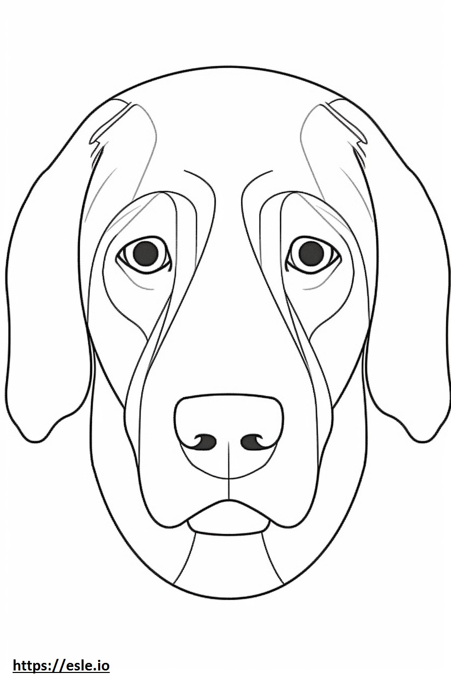 Beagle Shepherd-Gesicht ausmalbild