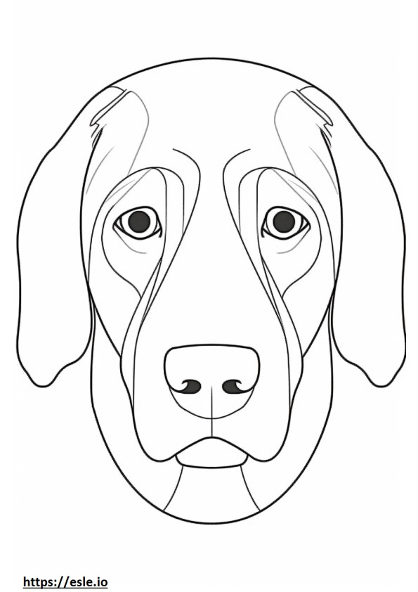 Cara de pastor beagle para colorear e imprimir