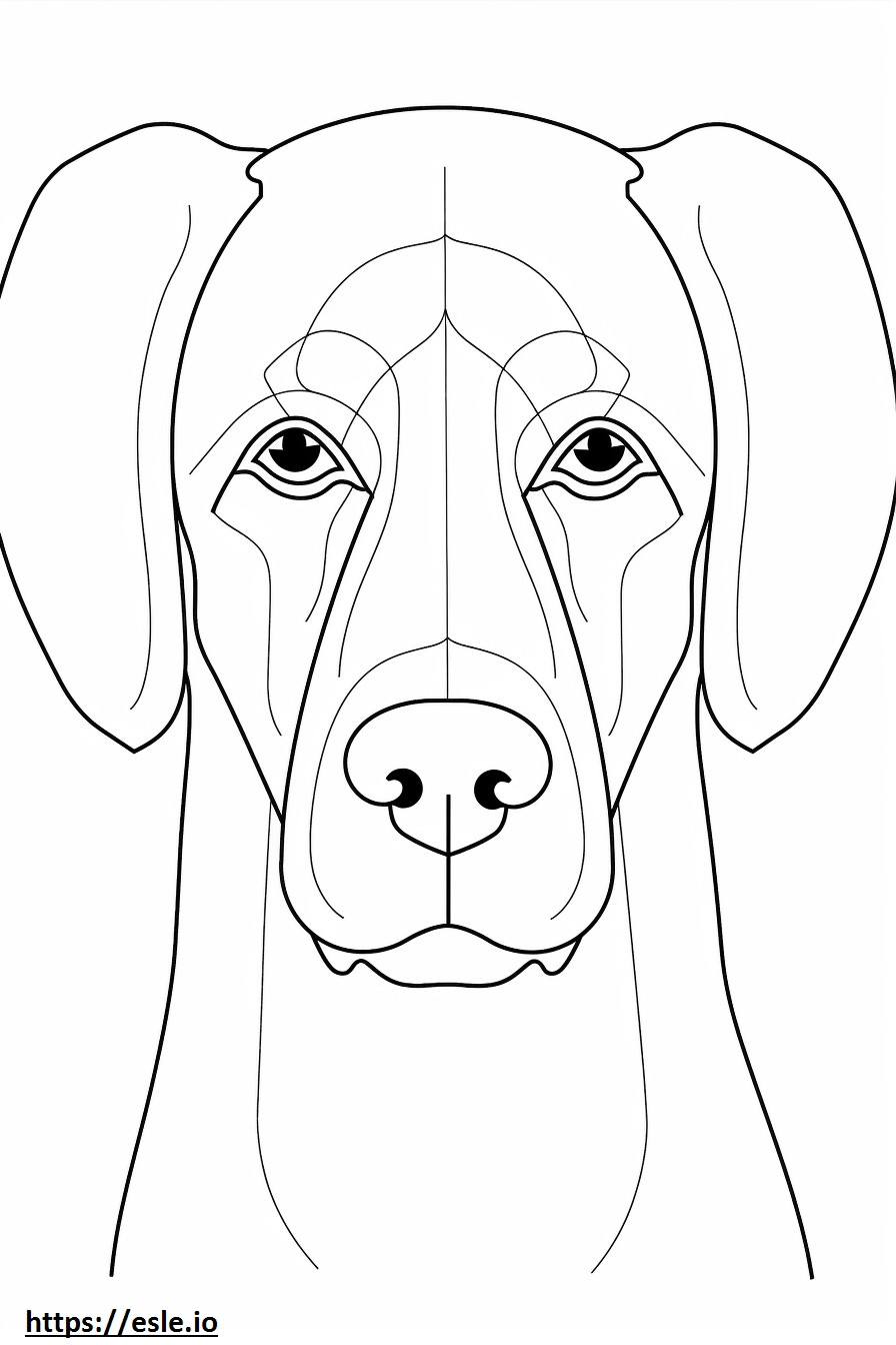 Beagle Herder gezicht kleurplaat kleurplaat