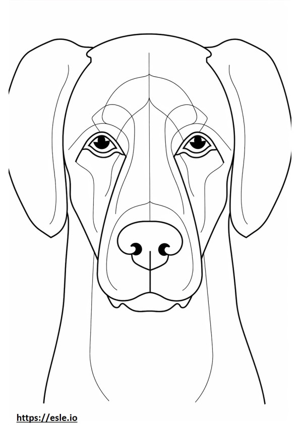 Beagle Shepherdin kasvot värityskuva