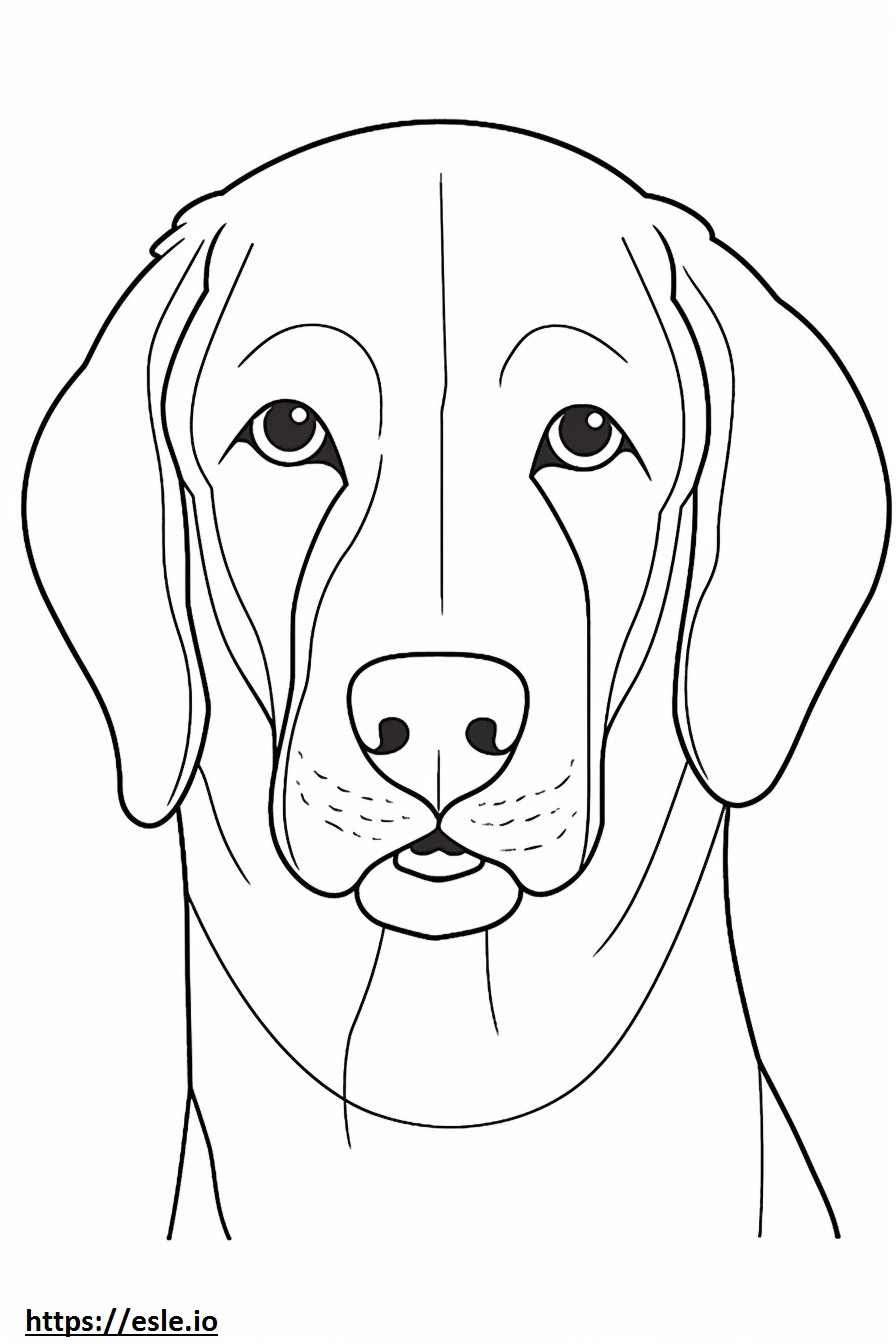 Fața de Beagle Shepherd de colorat