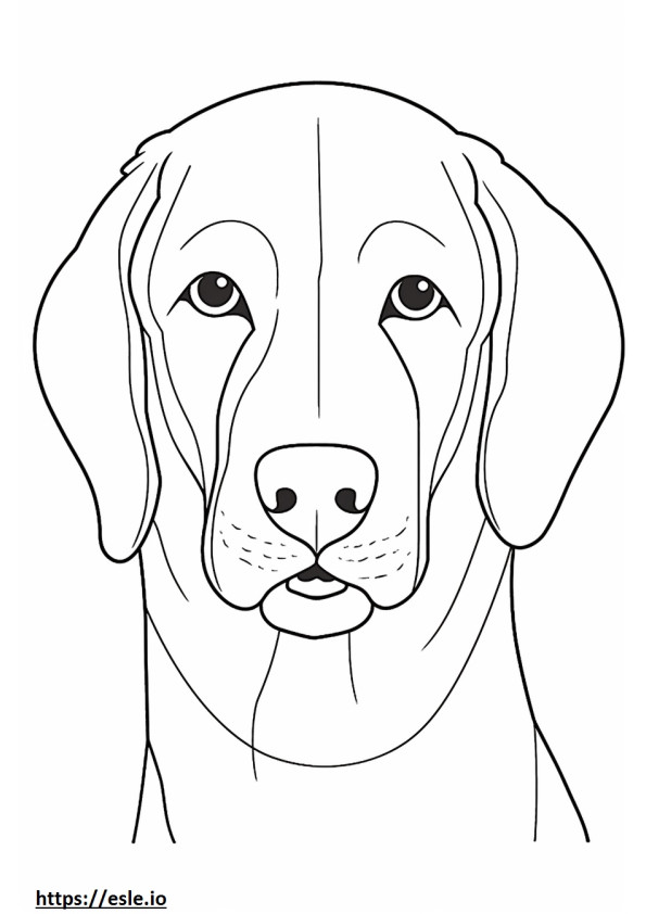 Coloriage Visage de berger Beagle à imprimer