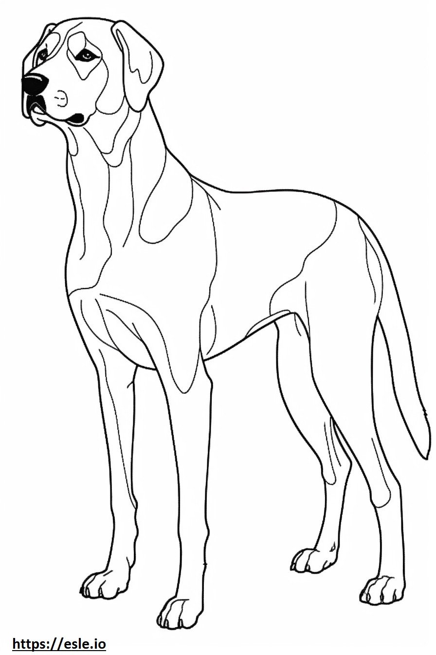 Beagle Herder volledig lichaam kleurplaat kleurplaat
