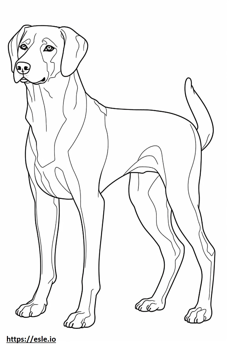 Ganzkörper-Beagle-Schäferhund ausmalbild
