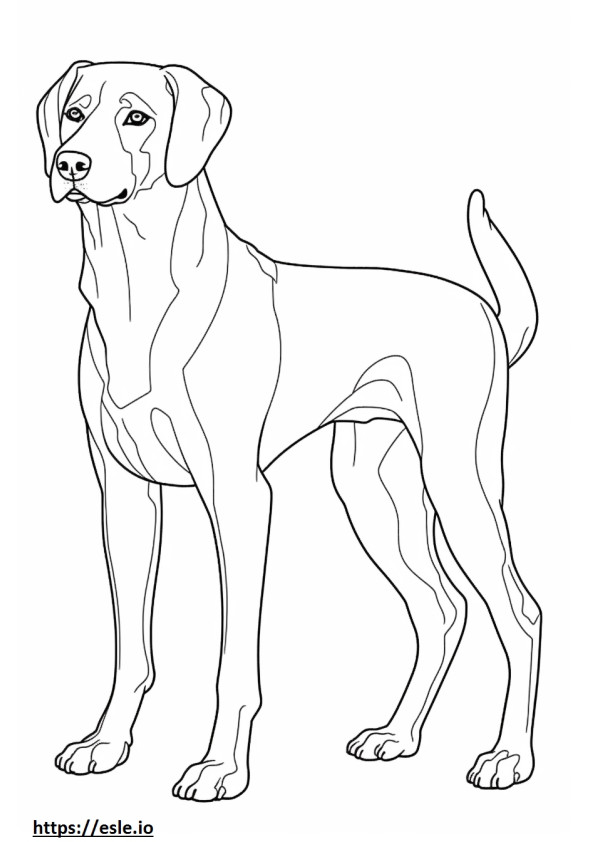 Beagle Shepherd full body coloring page