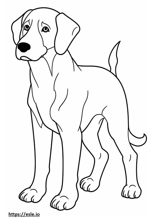 Copilul Beagle Shepherd de colorat