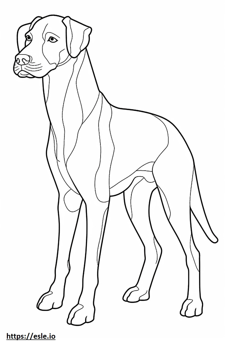 Beagle Shepherd baby coloring page