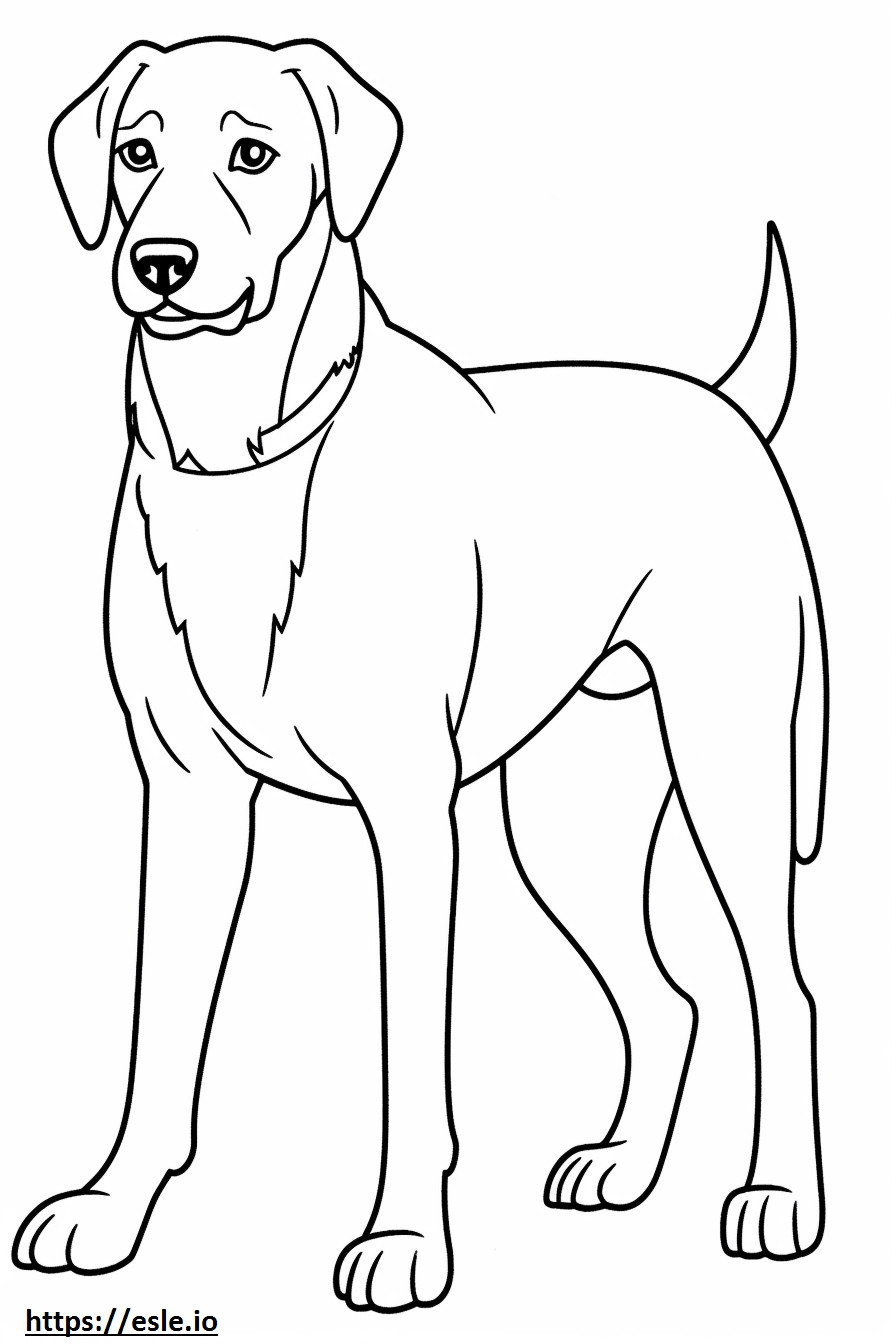 Beagle Herder tekenfilm kleurplaat kleurplaat