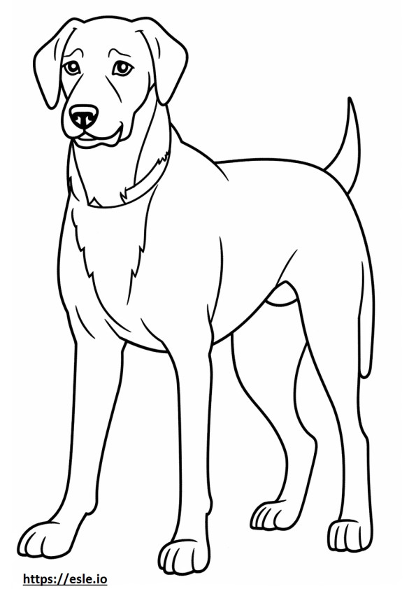Beagle-Schäferhund-Cartoon ausmalbild