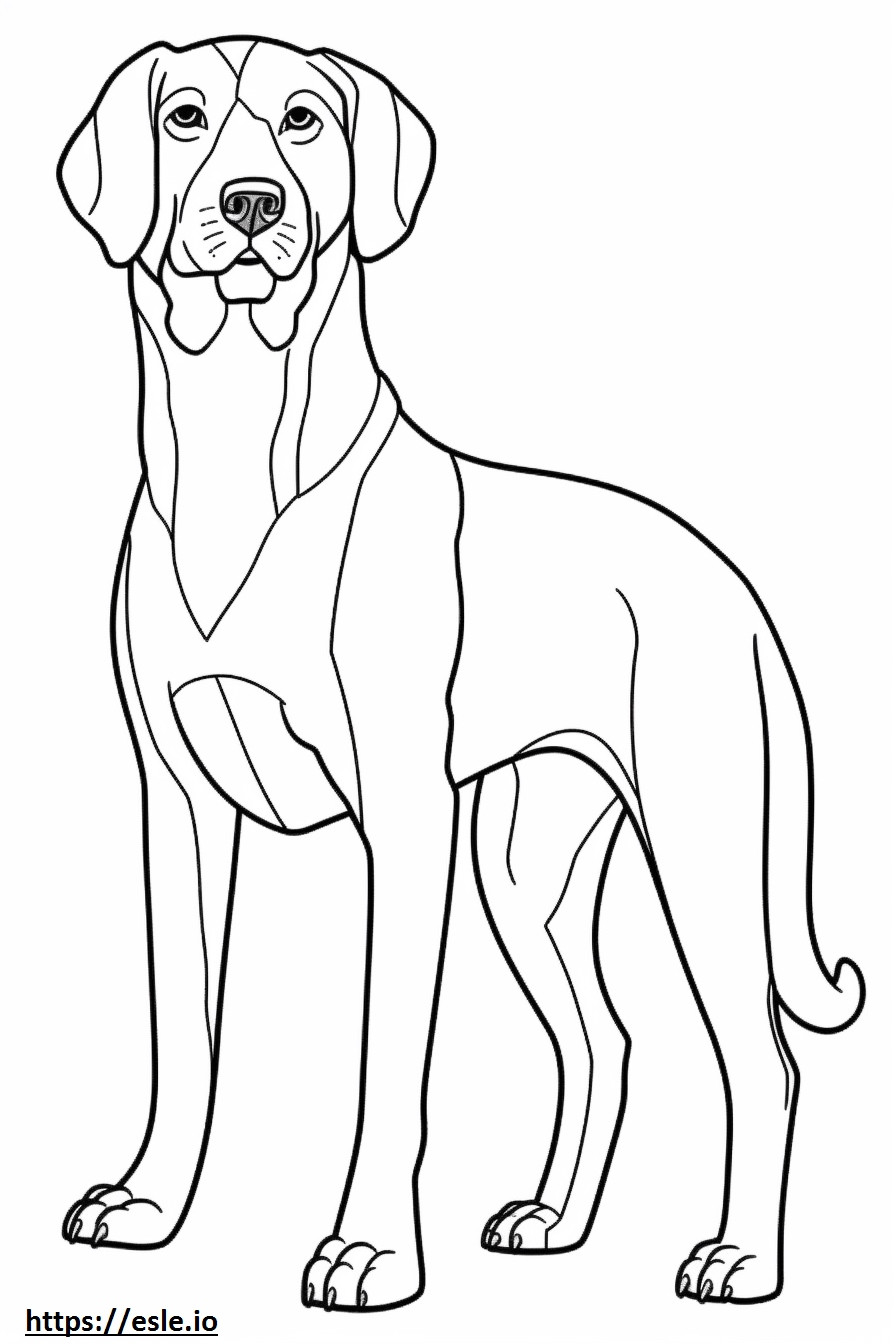 Desenho animado do pastor Beagle para colorir