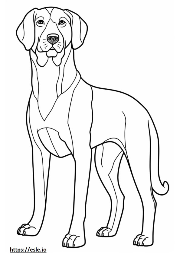 Coloriage Caricature de berger Beagle à imprimer