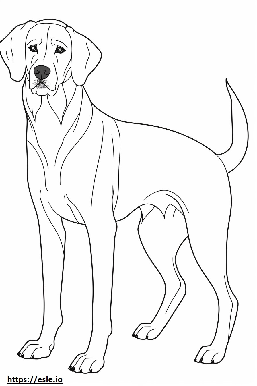 Beagle Shepherd cute coloring page