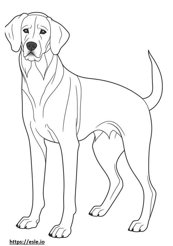 pastor beagle lindo para colorear e imprimir