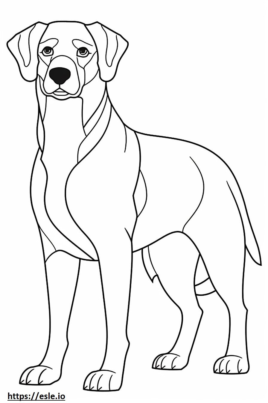 Beagle Shepherd cartoon coloring page