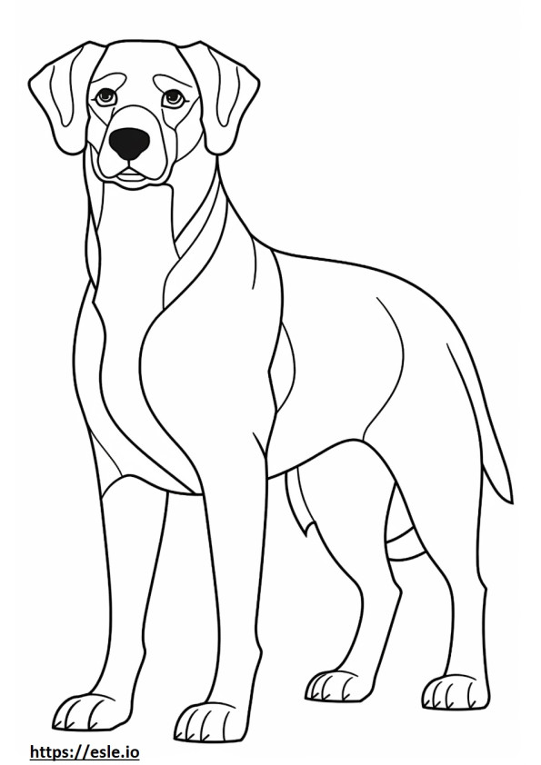 Dibujos animados de pastor beagle para colorear e imprimir