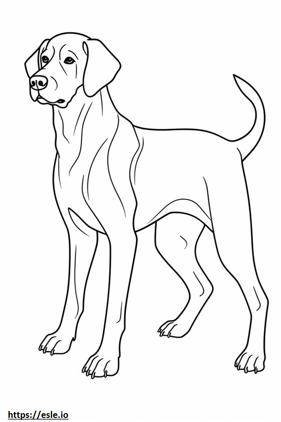 Beagle Shepherd cute coloring page