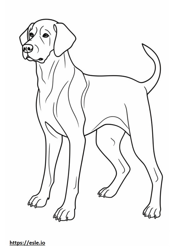 Beagle-Schäferhund süß ausmalbild