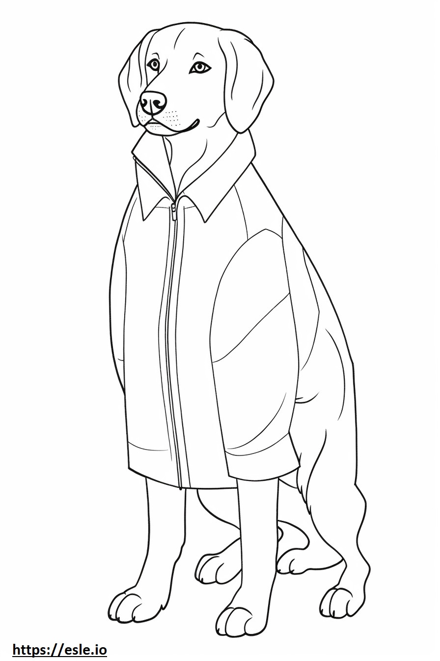 Ciobanesc Beagle drăguț de colorat